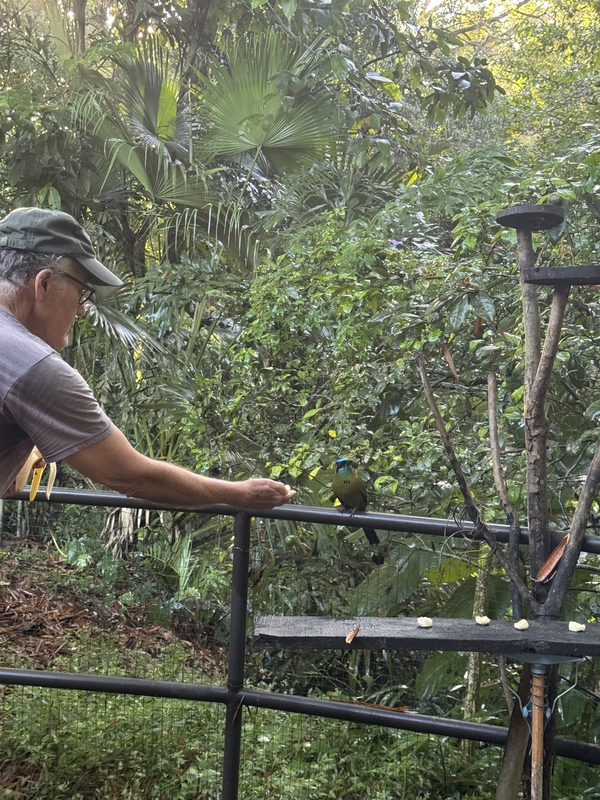 10_Alex Feeding Mot Mot