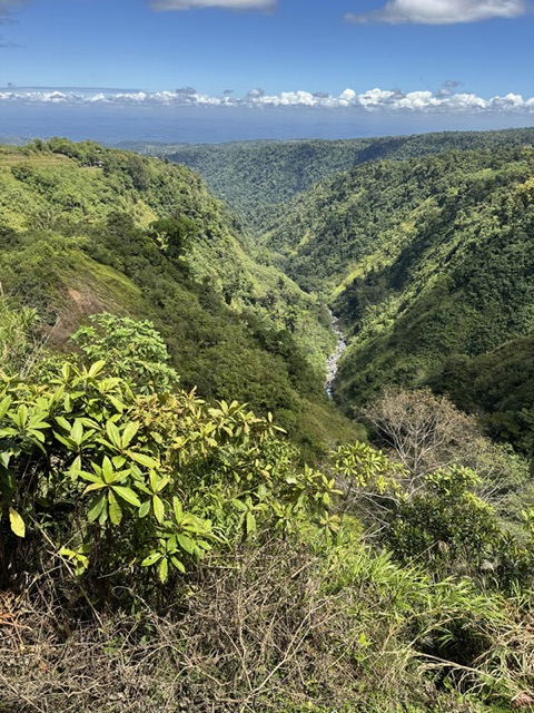 Green Valley