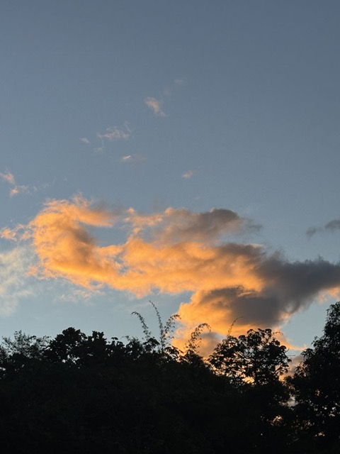 Yellow_sky