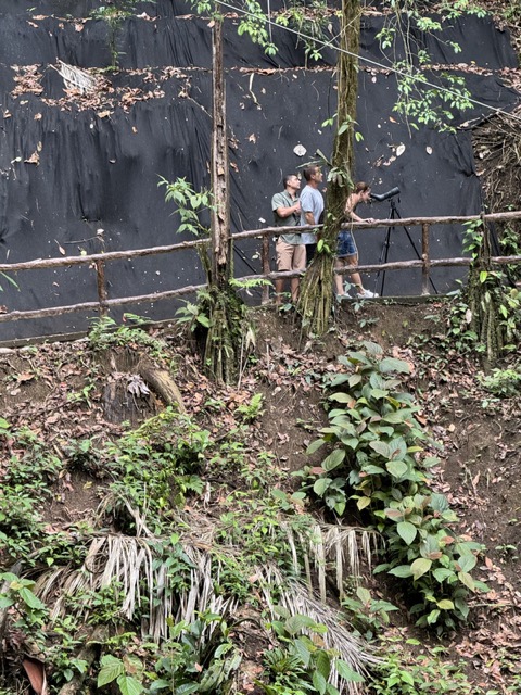 Arenal Birders