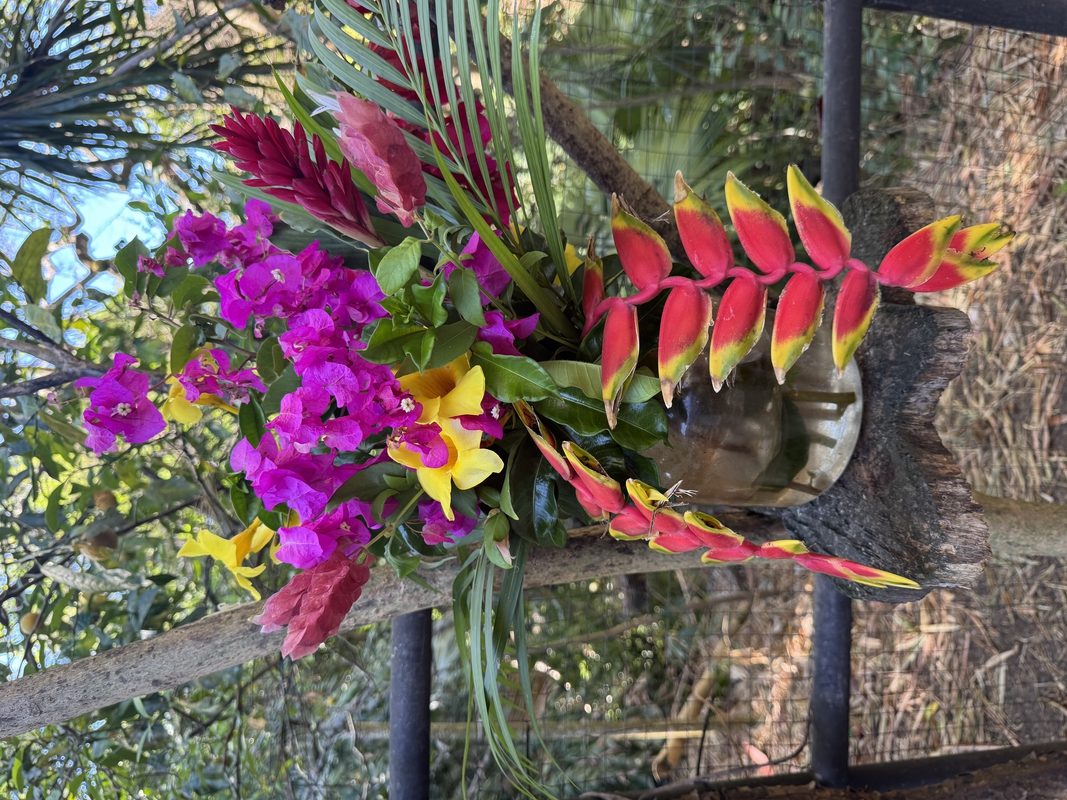 Jan's Flower Display